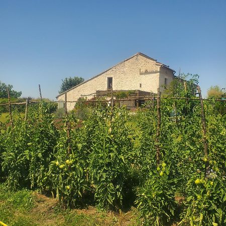 Hotel Au Mas de Janita Cahuzac-sur-Vère Exterior foto