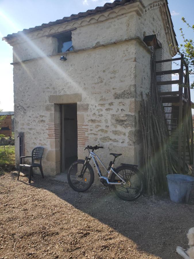 Hotel Au Mas de Janita Cahuzac-sur-Vère Exterior foto